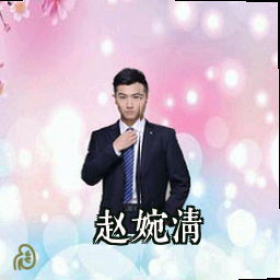 赵婉清